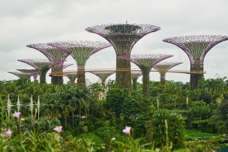 Island Thrills